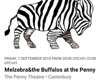 Sky Cassettes / Melzebra and the buffalos / The Peaks / The Laziathons on Sep 7, 2018 [446-small]