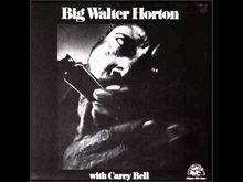 Johnny Shines / Big Walter Horton / Albert Collins on Dec 13, 1968 [867-small]