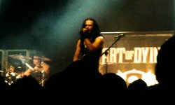 Disturbed / Nonpoint / Art of Dying on May 21, 2011 [775-small]