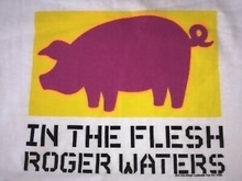 Roger Waters on Aug 11, 1999 [279-small]