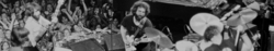 Jerry Garcia Band on Nov 9, 1991 [502-small]