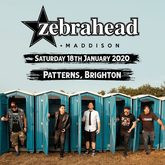 Zebrahead / Maddison on Jan 18, 2020 [737-small]