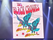 The Black Crowes / Uni Boys on Nov 18, 2021 [235-small]