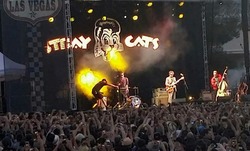 Stray Cats / Jerry Lee Lewis / Duane Eddy on Apr 21, 2018 [085-small]