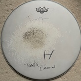 Signed drum skin, [707-small]