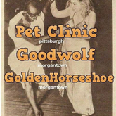 Golden Horseshoe / Pet Clinic / Goodwolf on Jul 21, 2017 [988-small]