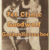 Golden Horseshoe / Pet Clinic / Goodwolf on Jul 21, 2017 [989-small]