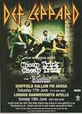 Tour Poster, Def Leppard / Cheap Trick / Sensational Alex Harvey Band on Jun 17, 2006 [442-small]