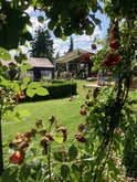 Sounds of Garden on Jul 8, 2021 [356-small]