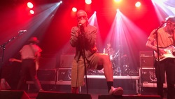 Fat White Family / Sorry on May 10, 2019 [559-small]