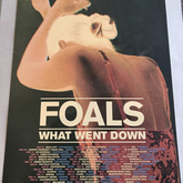 Foals / Real Lies on Nov 10, 2015 [698-small]