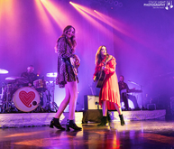 First Aid Kit / Van William on Feb 7, 2018 [476-small]