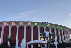 Harry Styles / Jenny Lewis on Nov 17, 2021 [845-small]