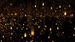 Infinity Mirrors Exhibition on Aug 16, 2017 [713-small]