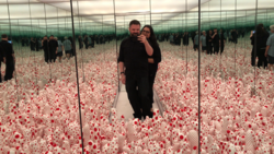 Infinity Mirrors Exhibition on Aug 16, 2017 [716-small]