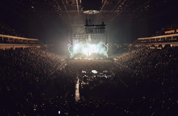 Twenty One Pilots / Misterwives on Nov 9, 2019 [537-small]