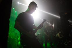 Born Of Osiris / Thy Art Is Murder / Betraying The Martyrs / Within the Ruins / ERRA on Nov 6, 2014 [232-small]