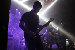 Born Of Osiris / Thy Art Is Murder / Betraying The Martyrs / Within the Ruins / ERRA on Nov 6, 2014 [237-small]