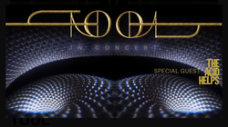 Tool / The Acid Helps on Mar 8, 2022 [357-small]