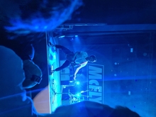 McFly on Sep 6, 2021 [784-small]