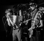 Pigeonhole / The Dada Movement / misty miller / Bible Bashers on Mar 19, 2022 [978-small]