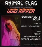 Animal Flag / Feeny / The Manner Of / Secret Mountain on Jun 18, 2018 [119-small]
