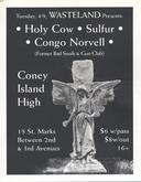 Congo Norvell  / Sulfur / Holy Cow on Apr 9, 1996 [444-small]