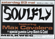 Soulfly / Limp Bizkit / Cold on May 20, 1998 [128-small]