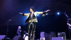 Dashboard Confessional / The Struts  / The Glorious Sons / Welshly Arms on Jan 26, 2018 [462-small]