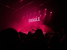 Jungle on Jun 2, 2022 [910-small]