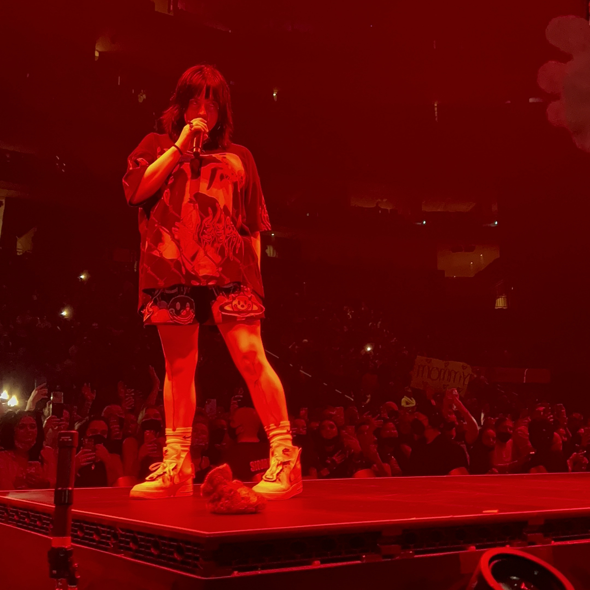 Feb 08, 2022 Billie Eilish / Willow Smith at PPG Paints Arena Pittsburgh, Pennsylvania, United