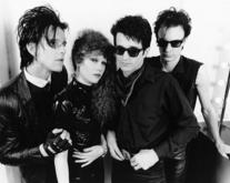 Publicity photo with Ike Knox, The Cramps / The Stars That Wouldn't Shine on Nov 1, 1983 [783-small]