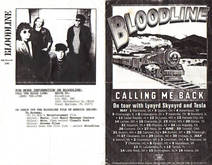 Lynyrd Skynyrd / Tesla / Bloodline on May 13, 1995 [668-small]