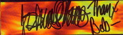 Coal Chamber / Sevendust / Human Waste Project / Dayinthelife on Feb 12, 1998 [974-small]