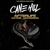 Cane Hill / Afterlife / VCTMS / Moodring on Jun 20, 2022 [793-small]