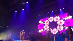Kacey Musgraves on Nov 17, 2018 [281-small]