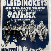 Bleedingkeys / Bailiff / Veseria on Nov 7, 2014 [323-small]