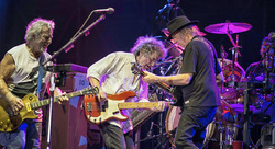 Neil Young & Crazy Horse / Neil Young / Devendra Banhart on Jul 26, 2013 [011-small]