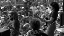 The Grateful Dead / The Marshall Tucker Band / New Riders of the Purple Sage on Sep 3, 1977 [325-small]