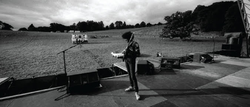 Sweet Savage, The Bureau, Rose Tattoo, Hazel o'connor,U2 and Thin Lizzy on Aug 16, 1981 [507-small]