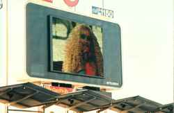 KIIS FM Wango Tango 2001 on Jun 16, 2001 [991-small]