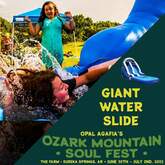 Ozark Mountain Soul Fest on Jun 30, 2022 [781-small]
