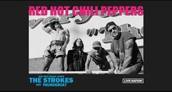 Red Hot Chili Peppers / The Strokes / Thundercat on Aug 21, 2022 [028-small]