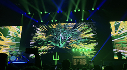 Twenty One Pilots / Peter McPoland on Aug 21, 2022 [193-small]
