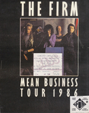 The Firm / Mason Ruffner on May 25, 1986 [866-small]