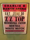 Zz Top / Brownsville Station  / Bertha / White Witch  on Jun 30, 1973 [798-small]