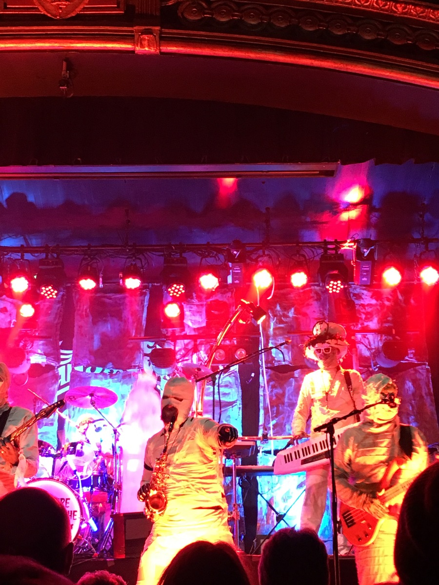 Here Come the Mummies Concert & Tour History (Updated for 2024