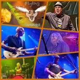 Live Wire:  The Ultimate AC/DC Experience / Flying Svengs on Sep 10, 2022 [436-small]
