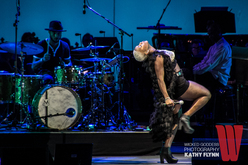 Liz Warfield at the Hollywood Bowl 2015, Heart / Liv Warfield / Hollywood Bowl Orchestra / Thomas Wilkins on Aug 21, 2015 [209-small]