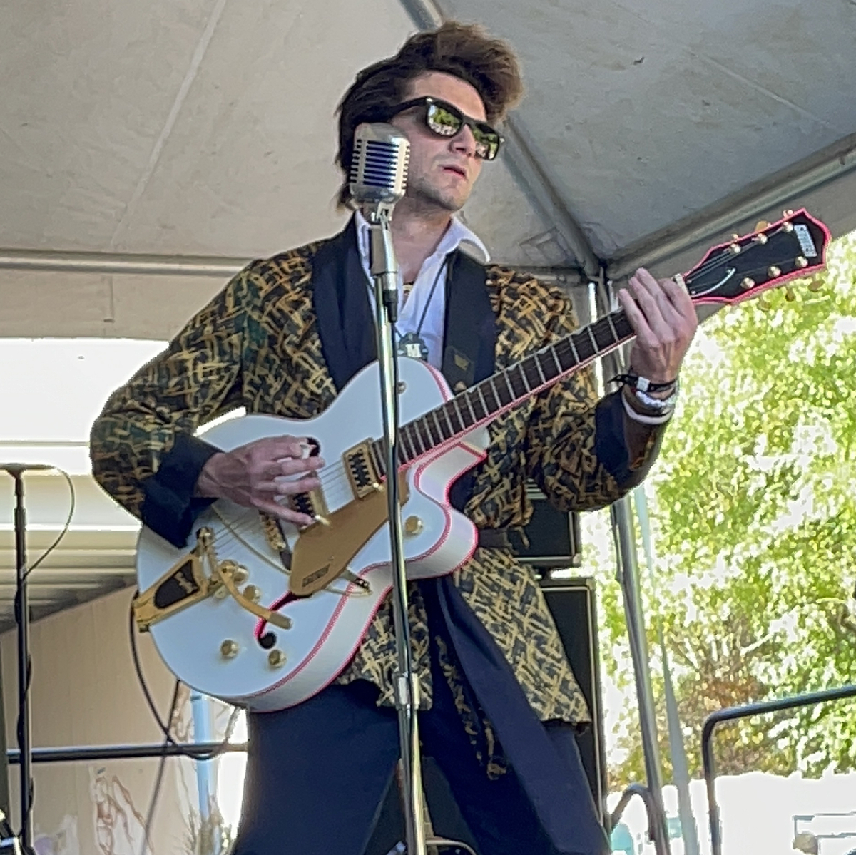 The Lyons Concert Tour History Concert Archives
